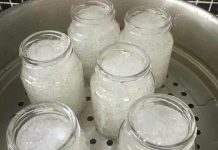 Khasiat dan Manfaat Sarang Burung Walet Untitled-2