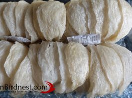 Harga Sarang Burung Walet Terbaru mangkok-aa