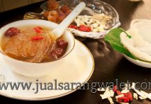 Khasiat dan Manfaat Sarang Burung Walet untuk Kesehatan manfaat sarang burung walet