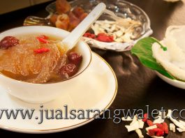 Khasiat dan Manfaat Sarang Burung Walet untuk Kesehatan manfaat sarang burung walet