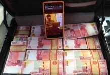 Burung Walet Sebagai Hewan Ajaib Pembawa Kekayaan burung walet