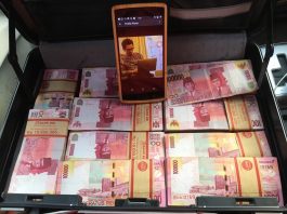 Burung Walet Sebagai Hewan Ajaib Pembawa Kekayaan burung walet