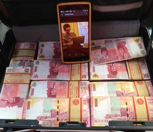 Burung Walet Sebagai Hewan Ajaib Pembawa Kekayaan burung walet