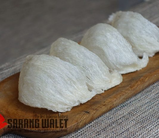 Toko Sarang Burung Walet di Indonesia Sarang Walet Mangkok