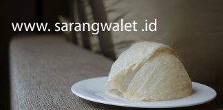 Harga Sarang Walet 2020 (UPDATE) di tengah Serangan Virus Corona