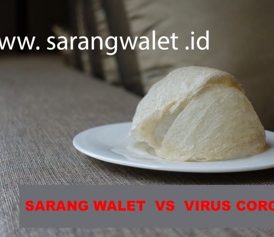 Harga Sarang Walet 2020 (UPDATE) di tengah Serangan Virus Corona